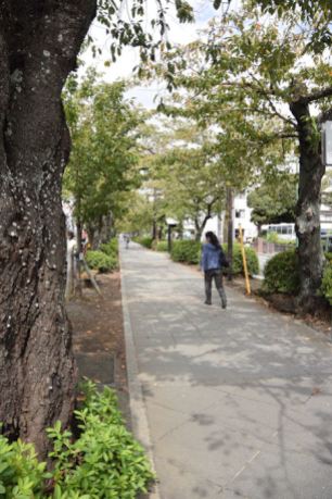 Odawara sidewalk